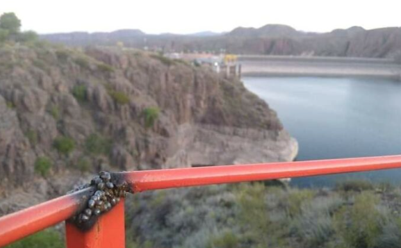 49 Times People Didn’t Give a Heck About OSHA Safety Regulations!