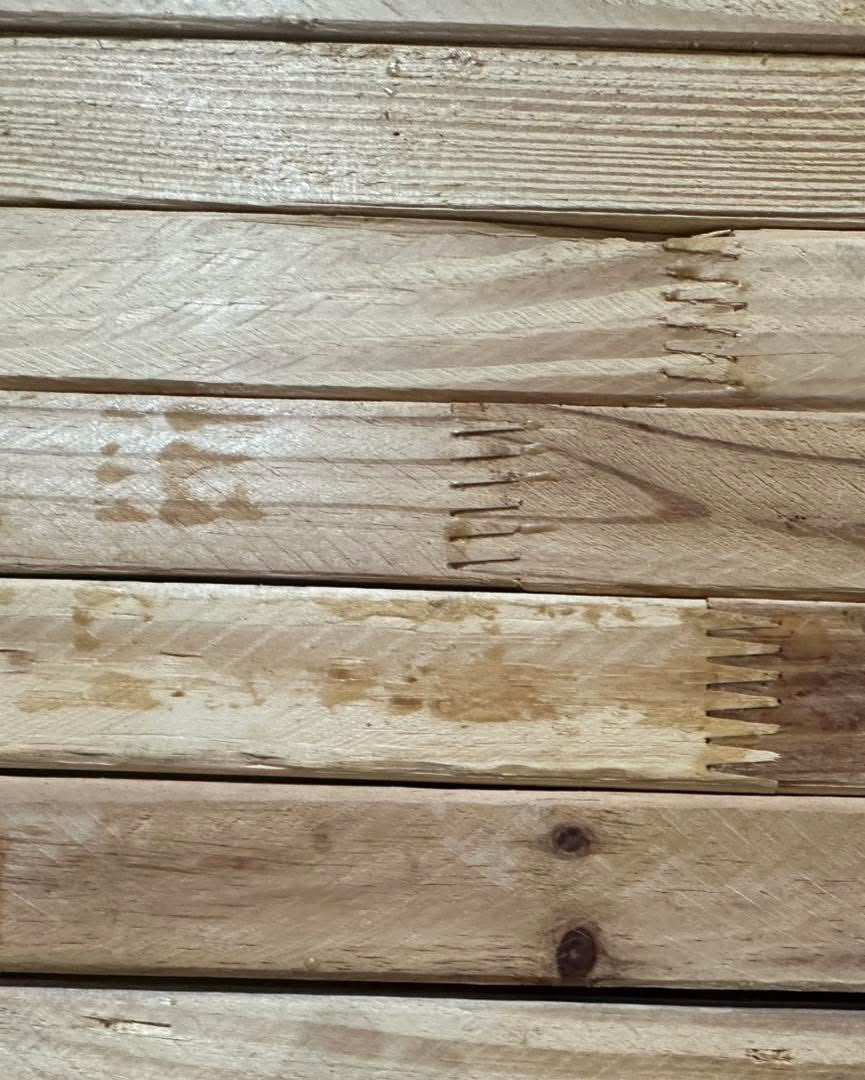 2x4x104 5/8” Finger Jointed Studs