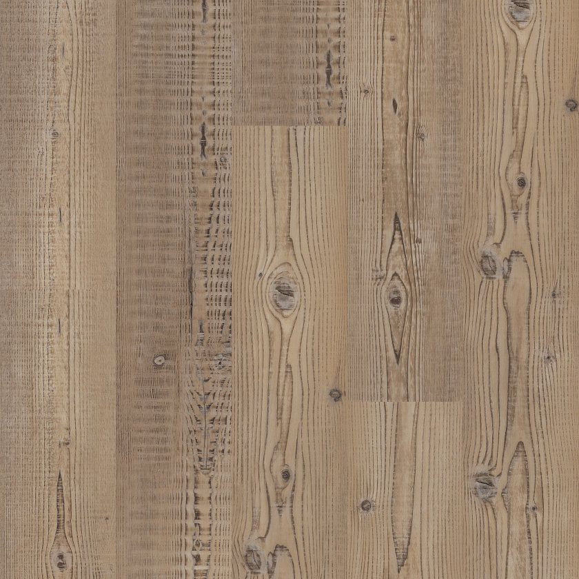Accent Pine - Anvil Plus Flooring by Shaw