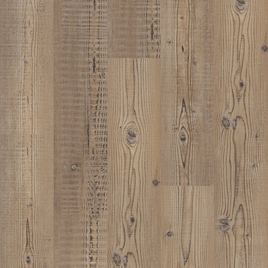 Accent Pine - Anvil Plus Flooring by Shaw
